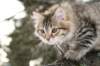 naatan115weeks92201441_small.jpg