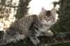 naatan115weeks92201444_small.jpg