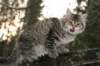 naatan115weeks92201446_small.jpg