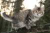 naatan115weeks92201449_small.jpg