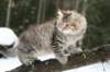 naatan115weeks9220144_small.jpg