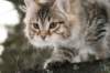 naatan115weeks92201453_small.jpg