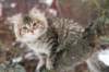 naatan115weeks92201458_small.jpg