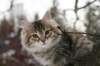 naatan115weeks92201461_small.jpg