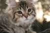 naatan115weeks92201464_small.jpg