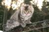 naatan115weeks92201466_small.jpg