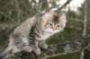 naatan115weeks92201468_small.jpg