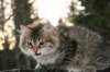 naatan115weeks9220146_small.jpg