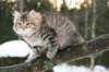 naatan115weeks92201470_small.jpg