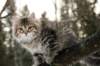 naatan115weeks92201471_small.jpg