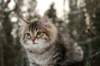 naatan115weeks92201472_small.jpg