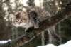 naatan115weeks92201479_small.jpg