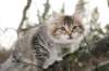 naatan115weeks9220147_small.jpg