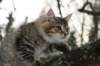 naatan115weeks9220148_small.jpg