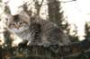 naatan115weeks922014_small.jpg