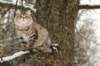 naatan145weeks33201413_small.jpg