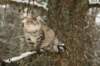 naatan145weeks33201414_small.jpg