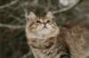 naatan145weeks33201425_small.jpg