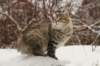 naatan145weeks33201441_small.jpg