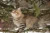 naatan145weeks33201452_small.jpg