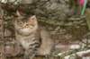 naatan145weeks33201454_small.jpg