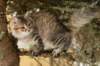 naatan145weeks33201455_small.jpg