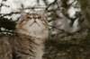 naatan145weeks33201457_small.jpg