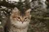 naatan145weeks33201458_small.jpg