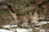 naatan145weeks33201461_small.jpg