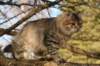 naatan4months1week273201419_small.jpg