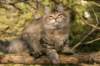 naatan4months1week273201421_small.jpg