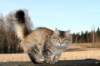 naatan4months1week273201424_small.jpg