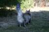 naatan4months1week273201434_small.jpg