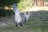 naatan4months1week273201436_small.jpg