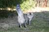 naatan4months1week273201437_small.jpg