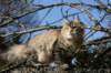 naatan4months1week27320143_small.jpg