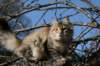 naatan4months1week27320144_small.jpg