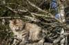 naatan4months1week27320146_small.jpg