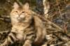 naatan4months1week27320147_small.jpg
