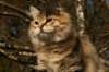 naatan4months1week27320148_small.jpg