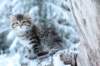 naataninabluewinterday0117201410_small.jpg