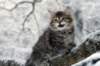 naataninabluewinterday0117201414_small.jpg
