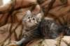 naemagirlimg_6622_small.jpg