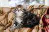 nehemiaboyimg_6651_small.jpg