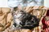 nehemiaboyimg_6652_small.jpg