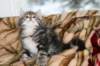 nehemiaboyimg_6654_small.jpg