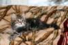 nehemiaboyimg_6656_small.jpg