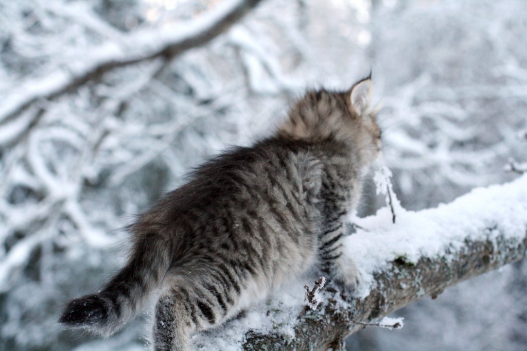 nerigirl8weeksinabluewinterday0117201413.jpg