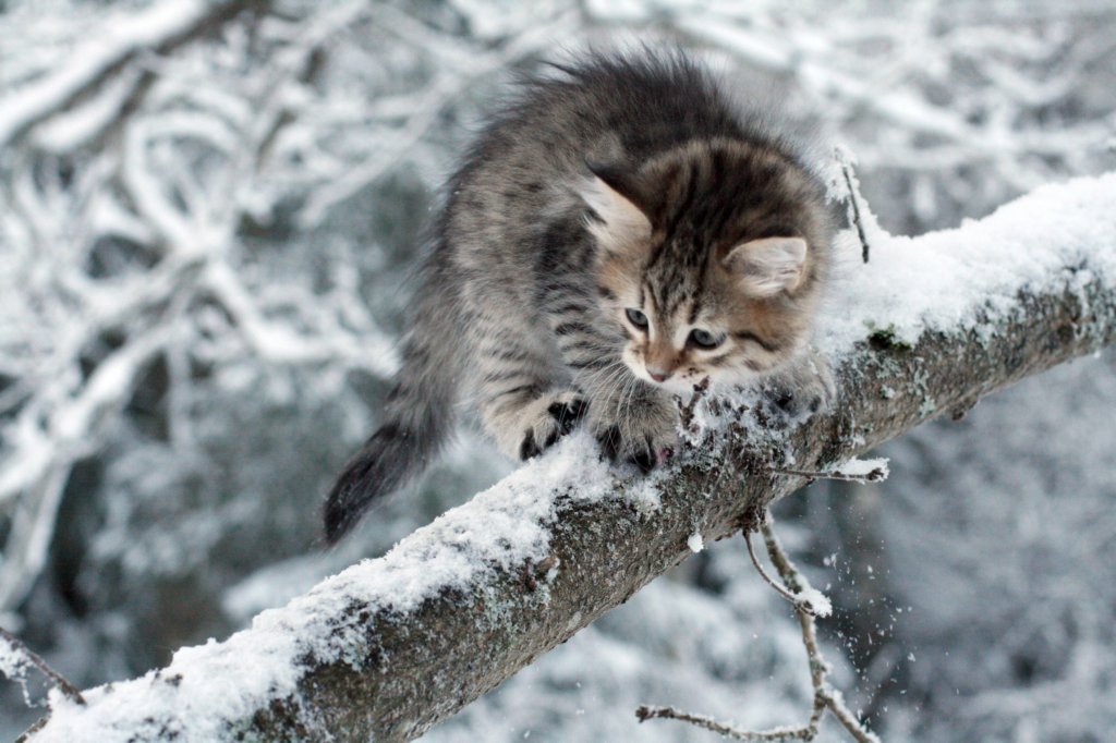 nerigirl8weeksinabluewinterday0117201417.jpg