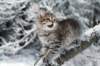 nerigirl8weeksinabluewinterday0117201423_small.jpg
